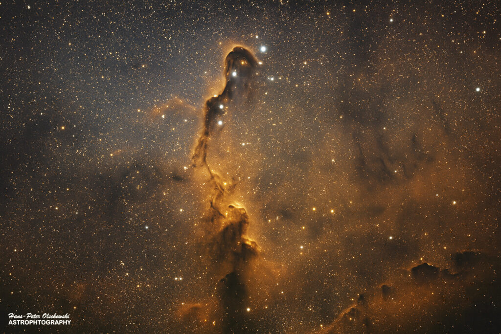 Der Elefantenrüsselnebel – Im Herzen des Kepheus