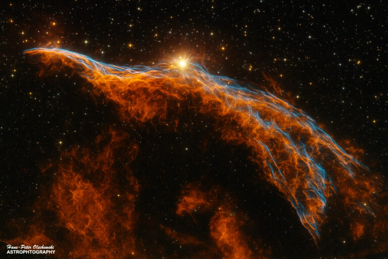 Der Sturmvogel – Ein Relikt einer Sternenexplosion