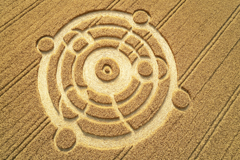 Kornkreise – Entstanden durch Außerirdische, Menschen oder die Natur?